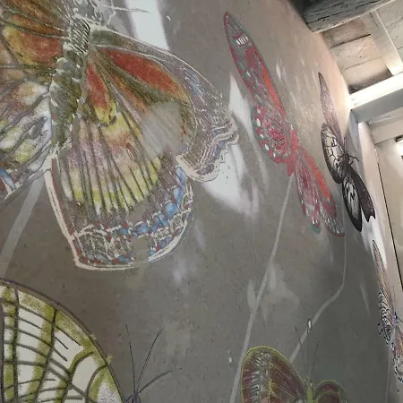 Fonte Gaia Experience Alojamento de Acomodação e Pequeno-almoço 4*