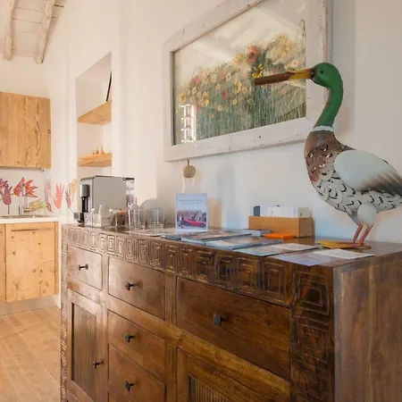 Fonte Gaia Experience 4*